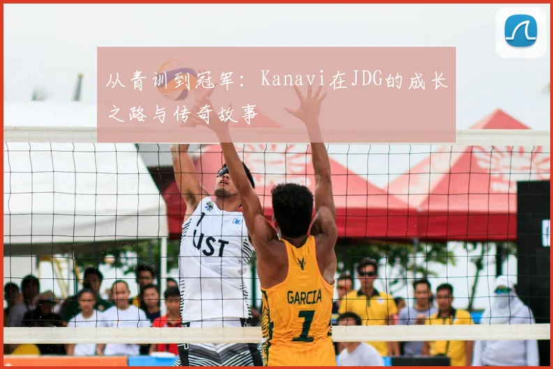 从青训到冠军：Kanavi在JDG的成长之路与传奇故事